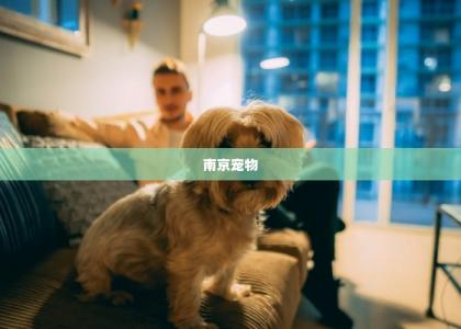 南京宠物 -第1张-狗狗百科-宝佳网