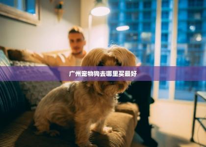 广州宠物狗去哪里买最好 -第1张-狗狗百科-宝佳网