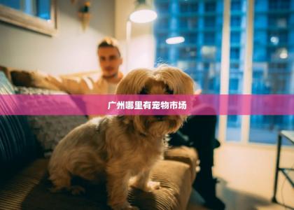 广州哪里有宠物市场 -第1张-狗狗百科-宝佳网