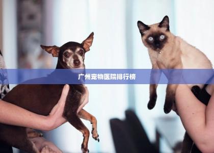 广州宠物医院排行榜 -第1张-狗狗百科-宝佳网